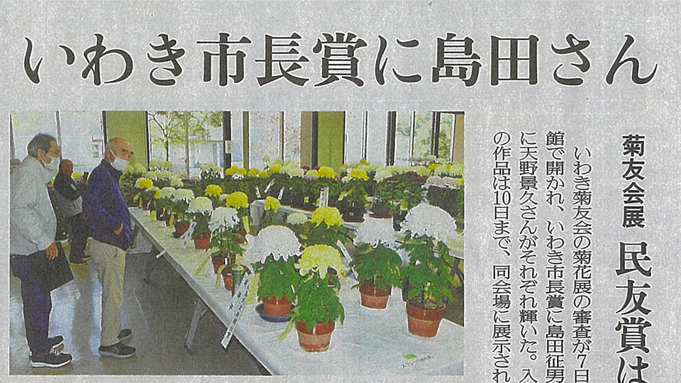 菅原清己さんが「いわき菊友会 菊花展」で２つの賞を受賞しました！