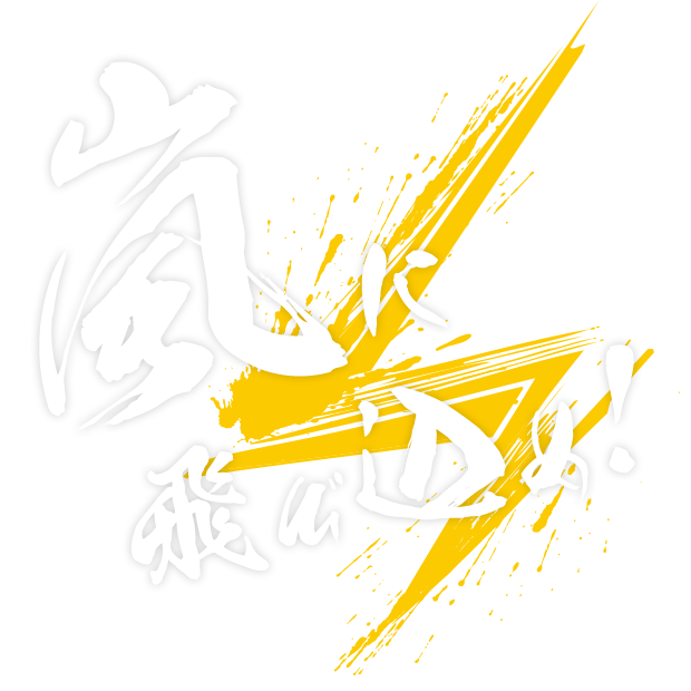 嵐に飛び込め